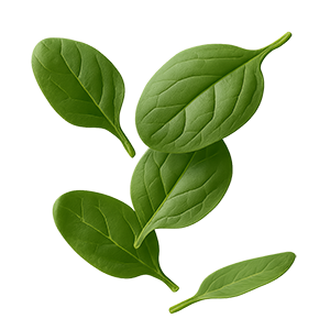 mini burger spinaci kioene