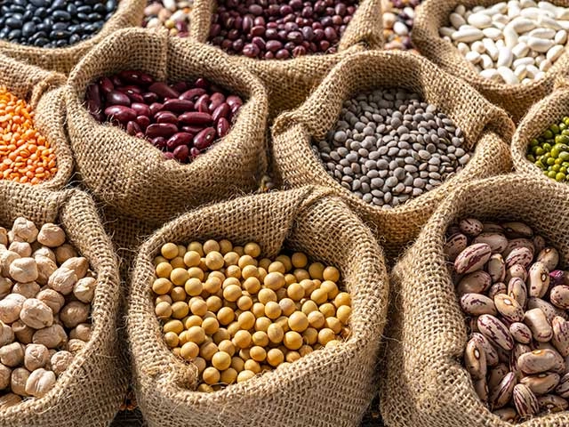 Proteine vegetali: quali benefici per la nostra salute?
