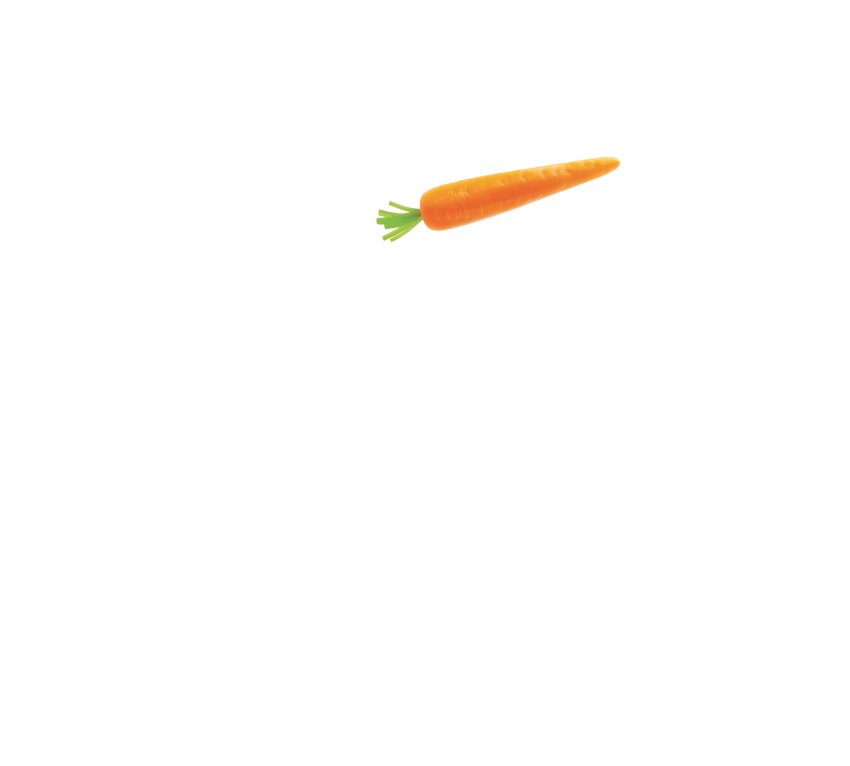 MILLE MODI
di mangiare
LE VERDURE!
