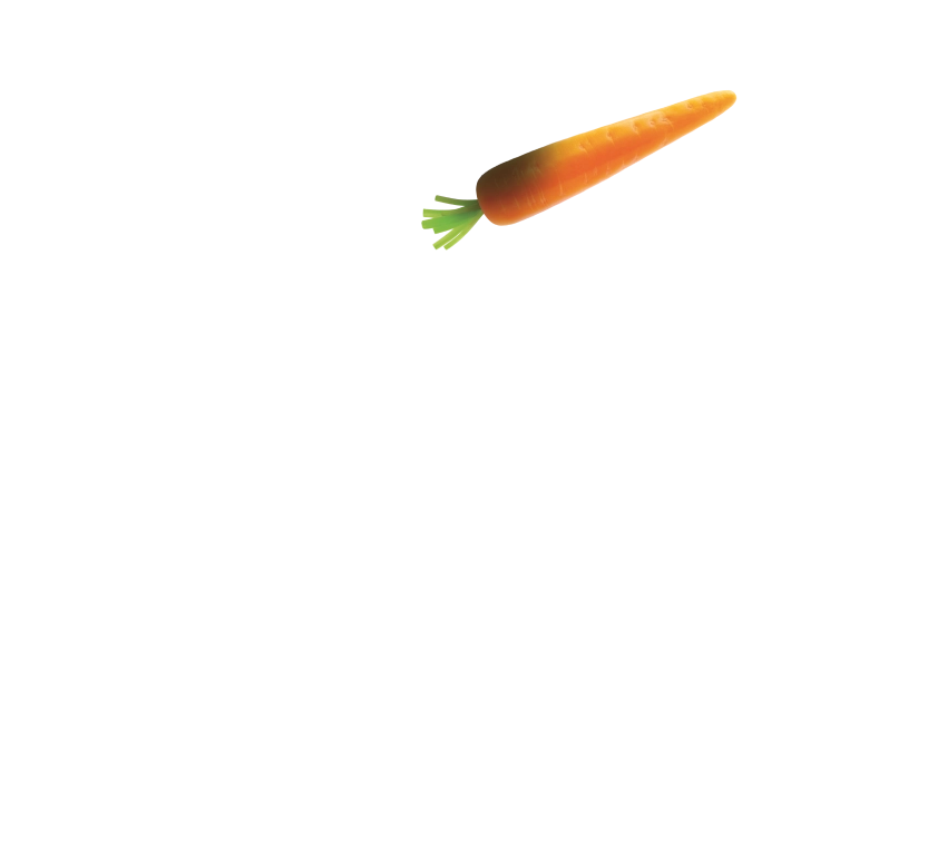 MILLE MODI
di mangiare
LE VERDURE!
