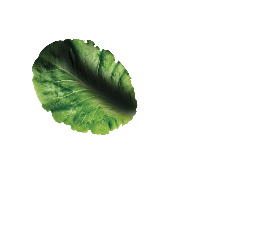 MILLE MODI
di mangiare
LE VERDURE!
