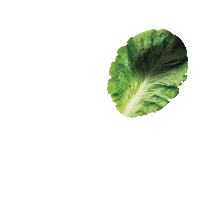 MILLE MODI
di mangiare
LE VERDURE!
