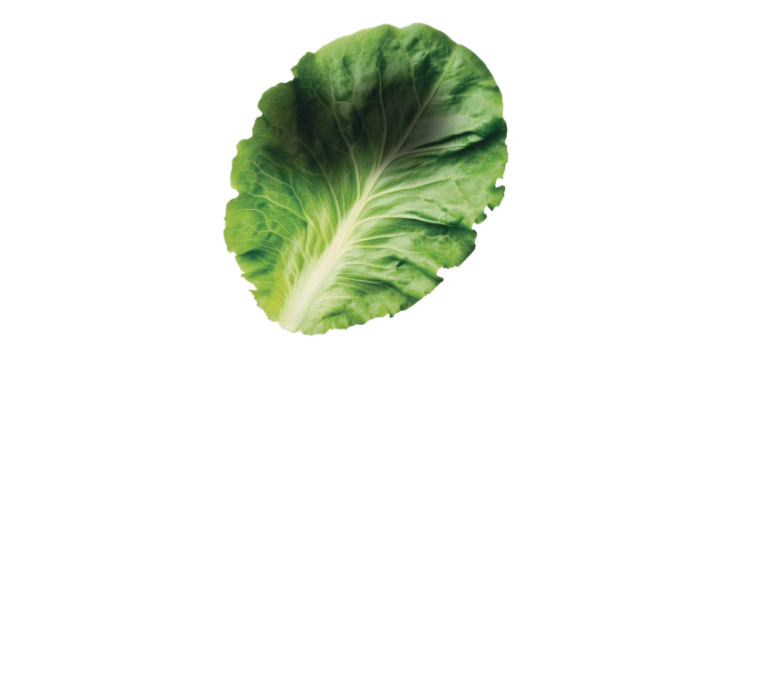 MILLE MODI
di mangiare
LE VERDURE!
