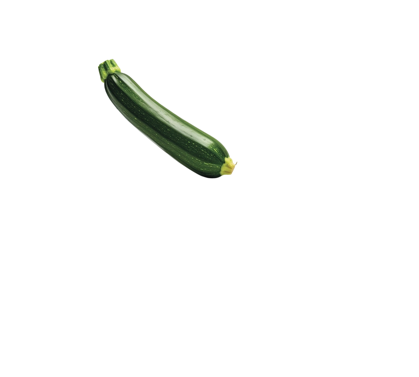 MILLE MODI
di mangiare
LE VERDURE!
