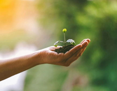 Giornata Mondiale della Terra 2026: il significato e le scelte che fanno la differenza