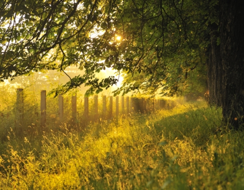 Time spent in the open air: a precious gift