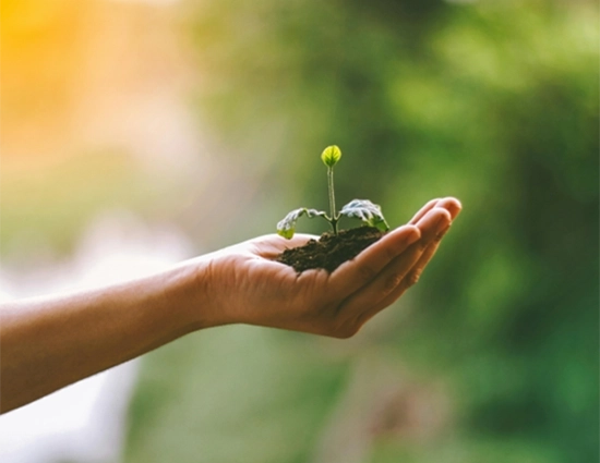 Giornata Mondiale della Terra 2026: il significato e le scelte che fanno la differenza