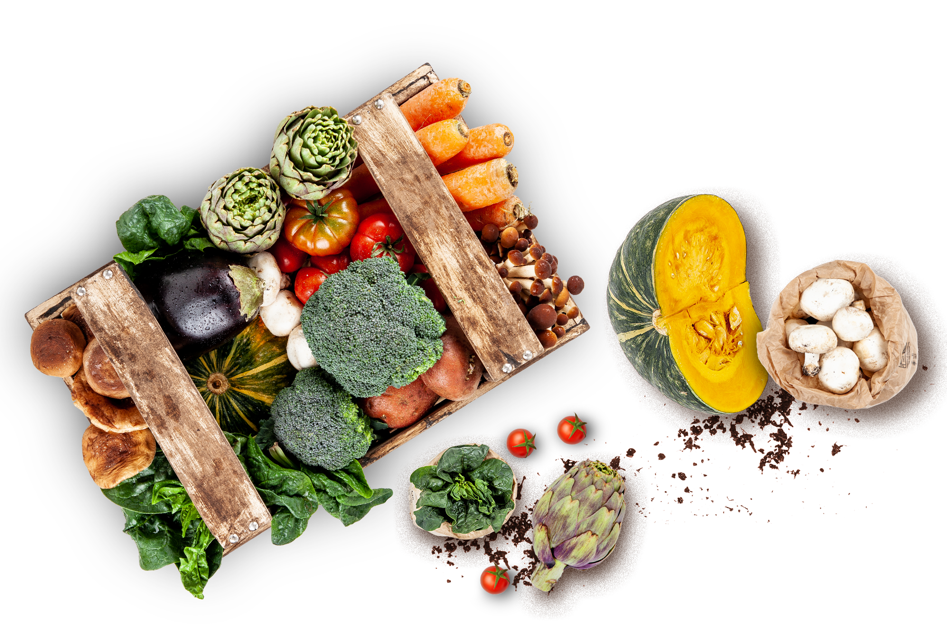 Our landis the future